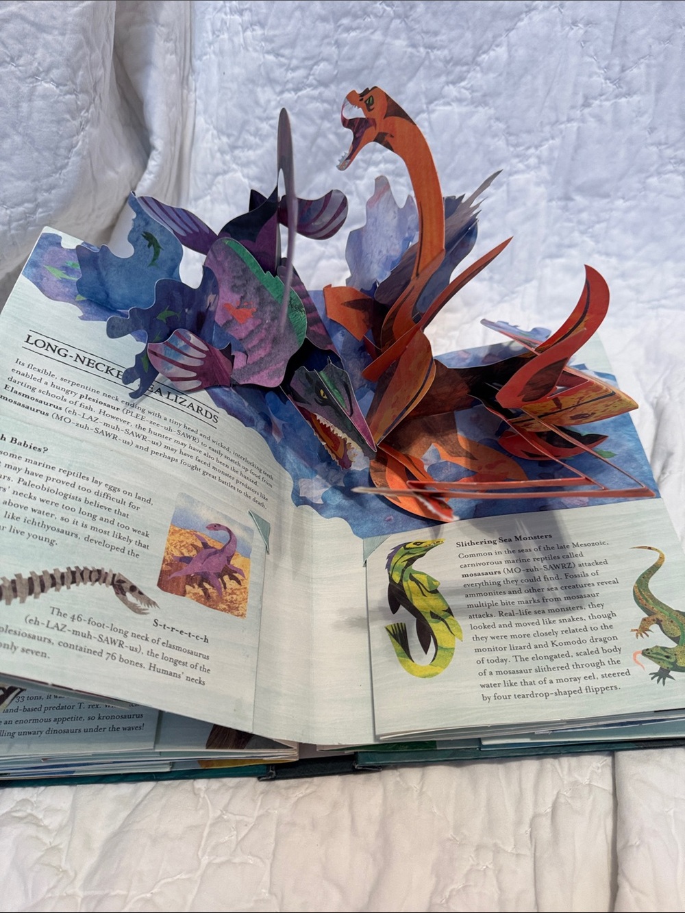 Encyclopedia Prehistorica: Sharks and Other Sea Monsters - Teal Pop-Up Book - Picture 7 of 8